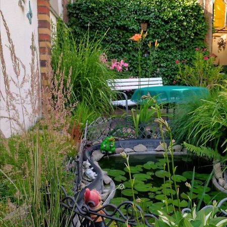Spreewald Ferienwohnung Wollgast ลึบเบิน ภายนอก รูปภาพ