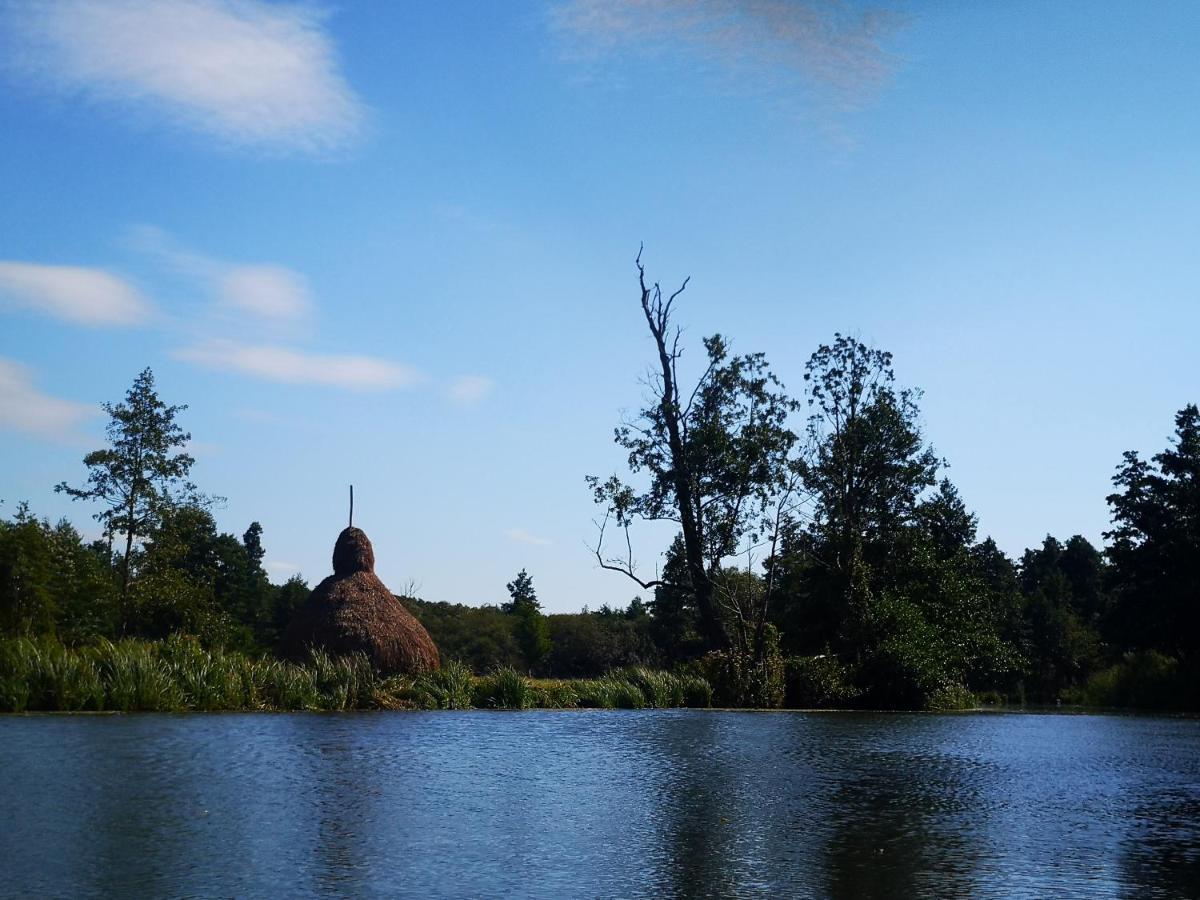 Spreewald Ferienwohnung Wollgast ลึบเบิน ภายนอก รูปภาพ