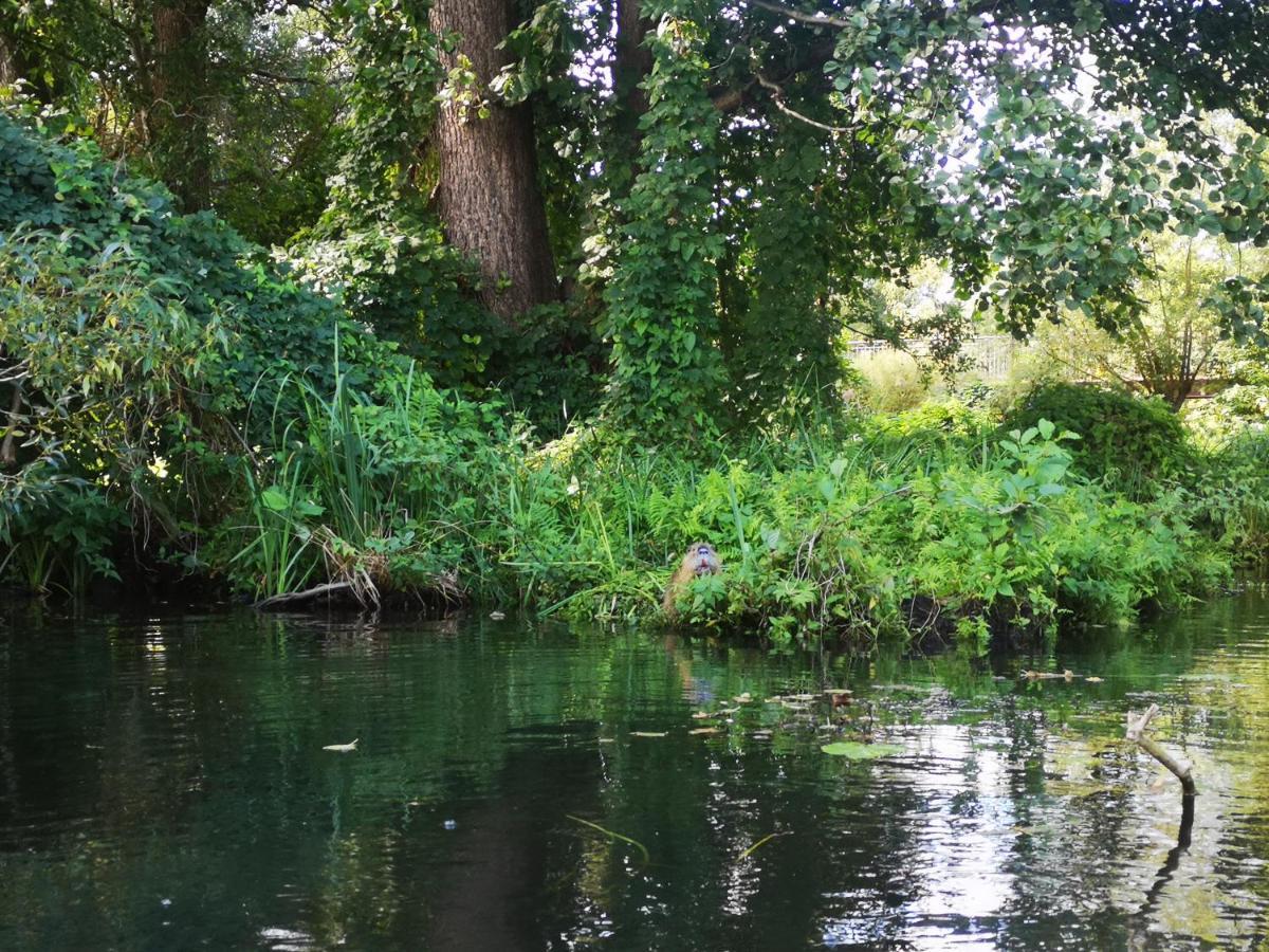 Spreewald Ferienwohnung Wollgast ลึบเบิน ภายนอก รูปภาพ