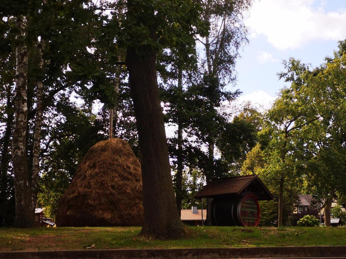 Spreewald Ferienwohnung Wollgast ลึบเบิน ภายนอก รูปภาพ