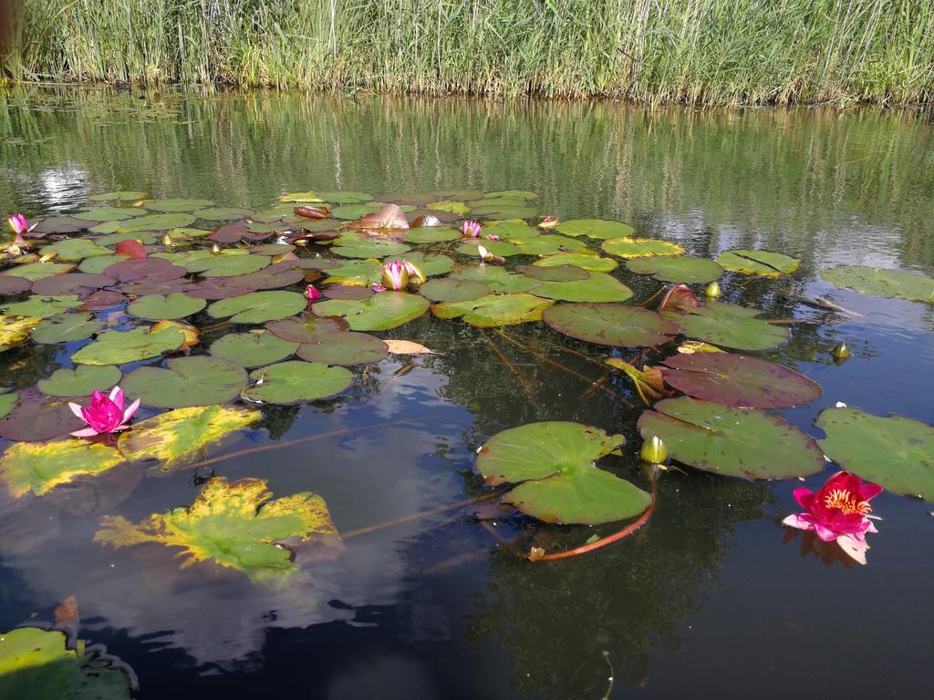 Spreewald Ferienwohnung Wollgast ลึบเบิน ห้อง รูปภาพ