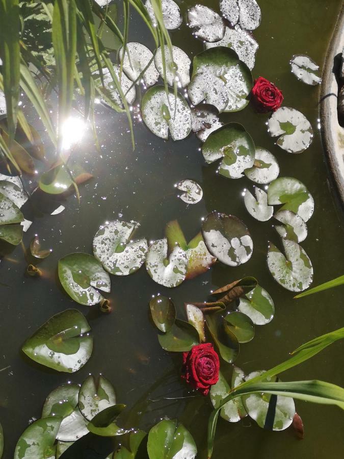 Spreewald Ferienwohnung Wollgast ลึบเบิน ภายนอก รูปภาพ