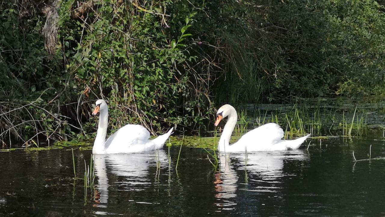 Spreewald Ferienwohnung Wollgast ลึบเบิน ภายนอก รูปภาพ